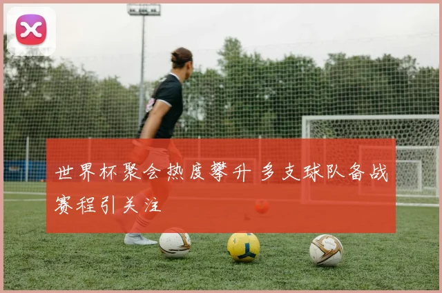 世界杯聚会热度攀升 多支球队备战赛程引关注