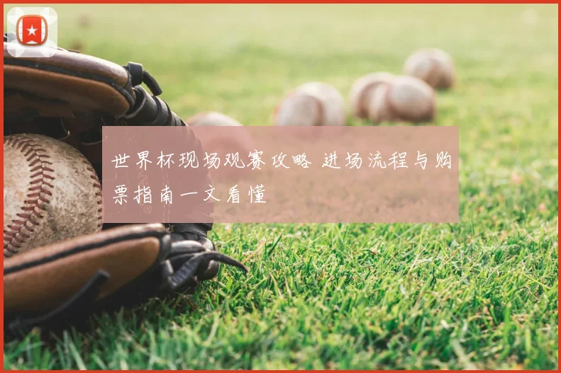 世界杯现场观赛攻略 进场流程与购票指南一文看懂