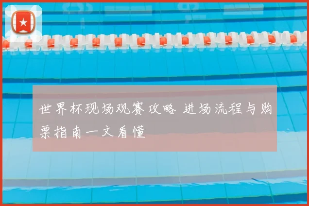 世界杯现场观赛攻略 进场流程与购票指南一文看懂