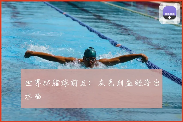 世界杯赌球前后:灰色利益链浮出水面