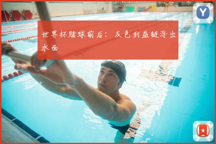 世界杯赌球前后:灰色利益链浮出水面