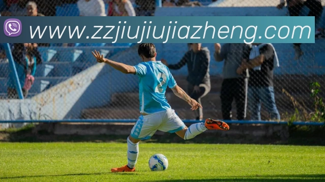 kaiyun官方入口APP 封面图